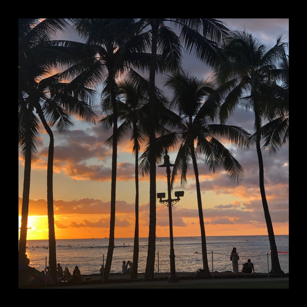 🏝️ ALOHA! Meet Your Posher 🏝️